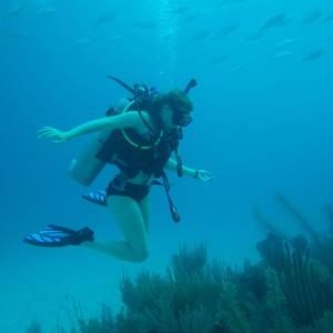 Meet your Posher, Tori